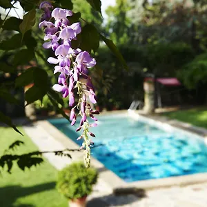park-palace-hotel.it-tuscanyhotel.com/